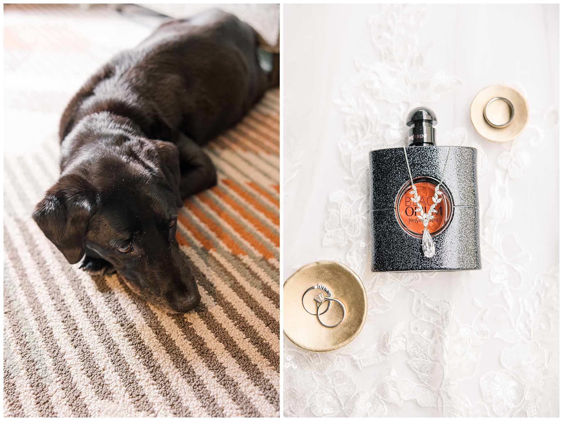 Bride's dog laying in the bridal suite while she get's ready for her Monterey Wedding.